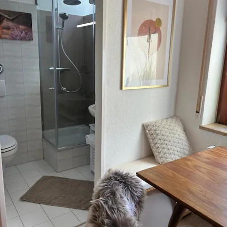 Eckis Saeck 1-zimmer-appartement Kochzeile Wlan Parkplatz * Bad Säckingen